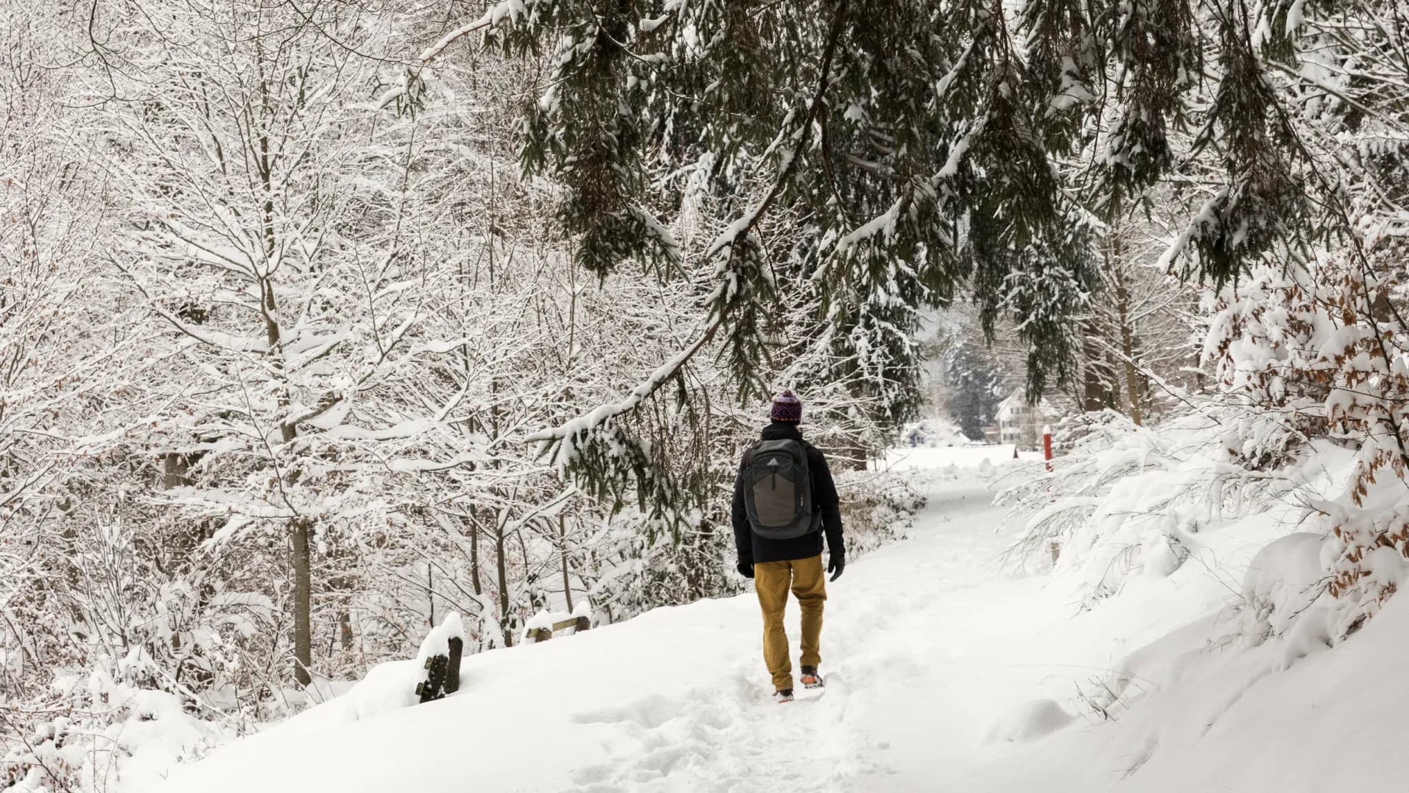 Wanderer mit Rucksack geht über einen geräumten Pfad durch den verschneiten Wald.