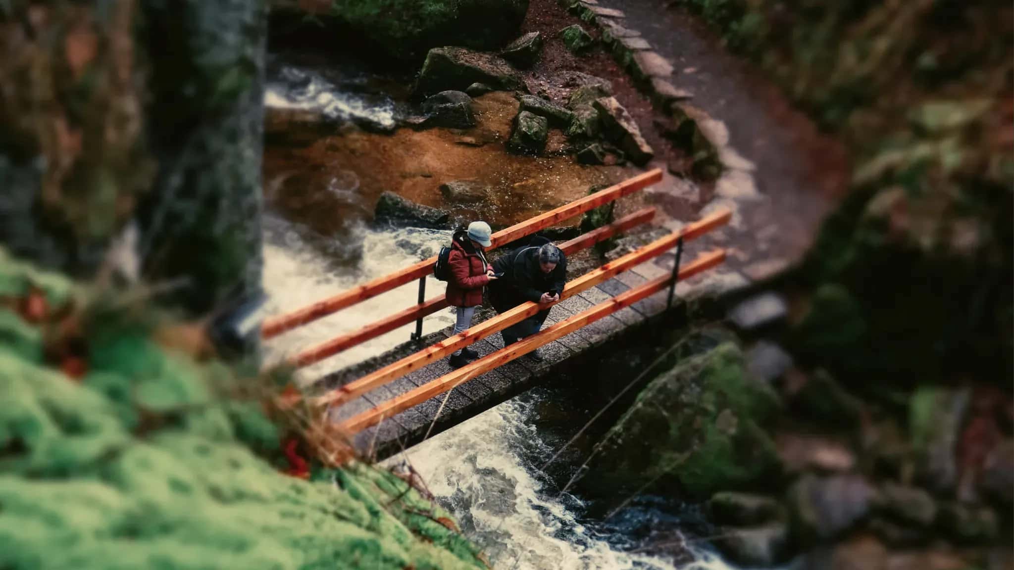 Wanderer überqueren eine Holzbrücke über einen Bach im dichten Grün, aus der Vogelperspektive.