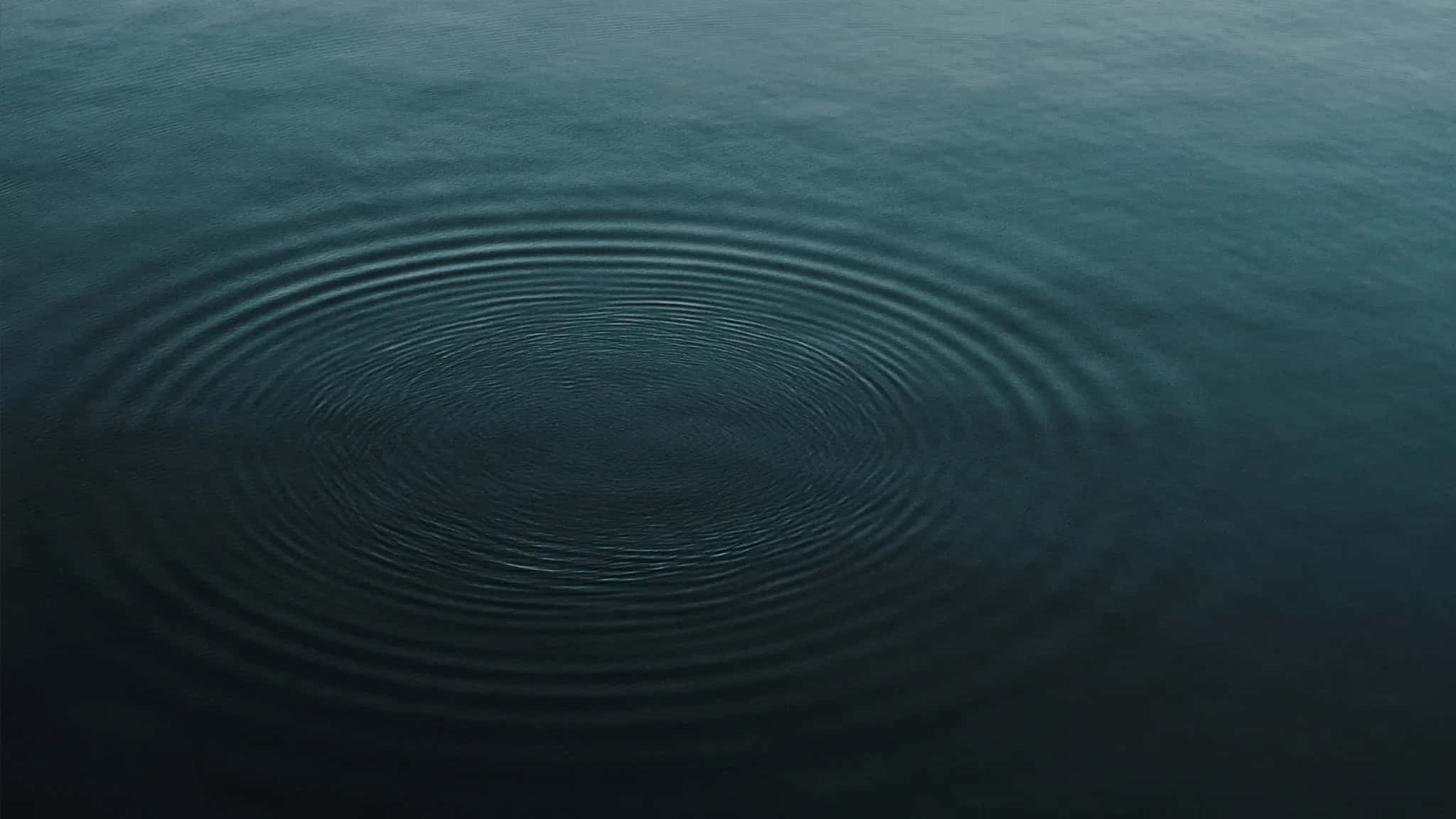 Konzentrische Wellenringe auf einer dunklen, ruhigen Wasserfläche.