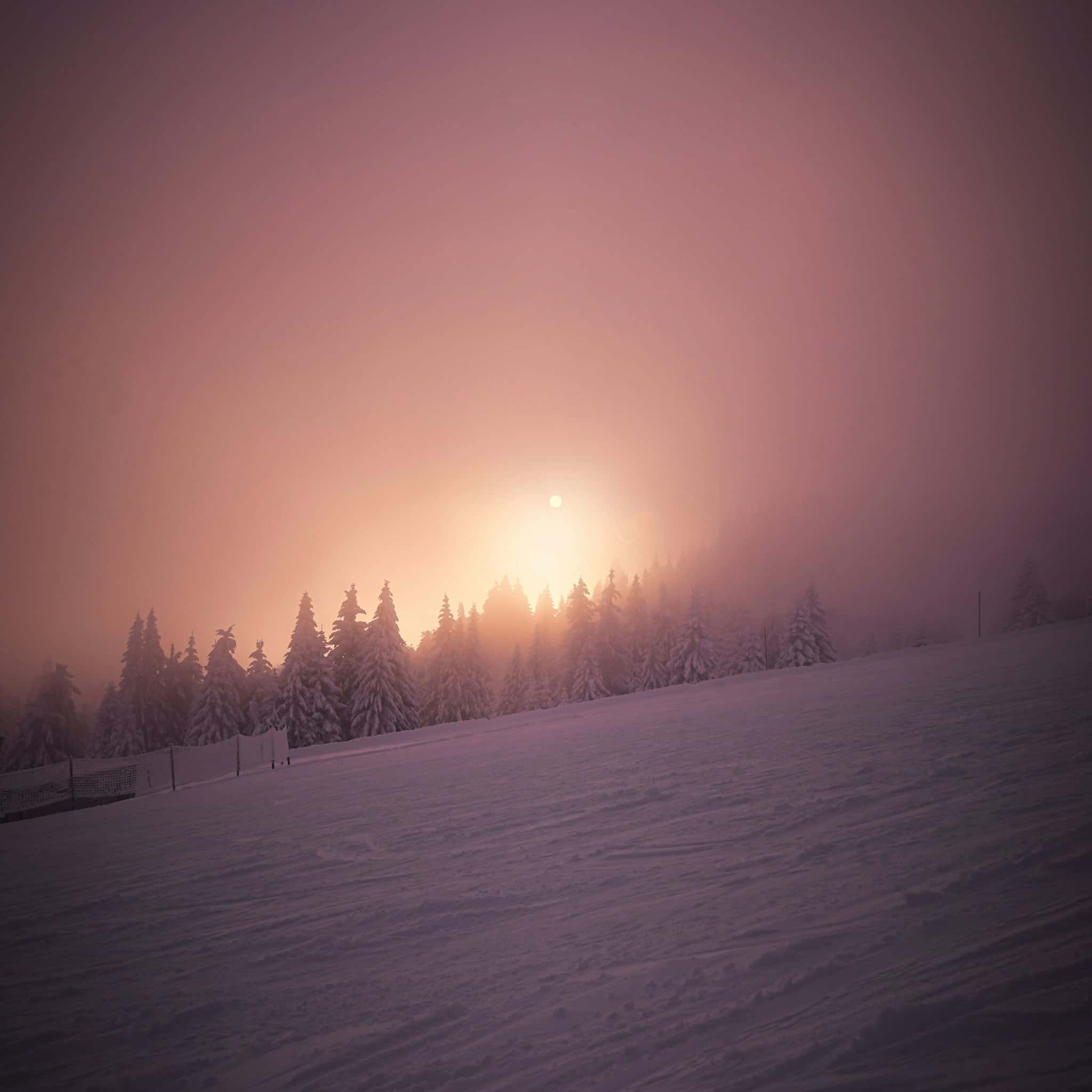 Verschneite Landschaft mit Tannensilhouetten im Nebel, durch den die tief stehende Sonne in warmen Rosa- und Orangetönen scheint.
