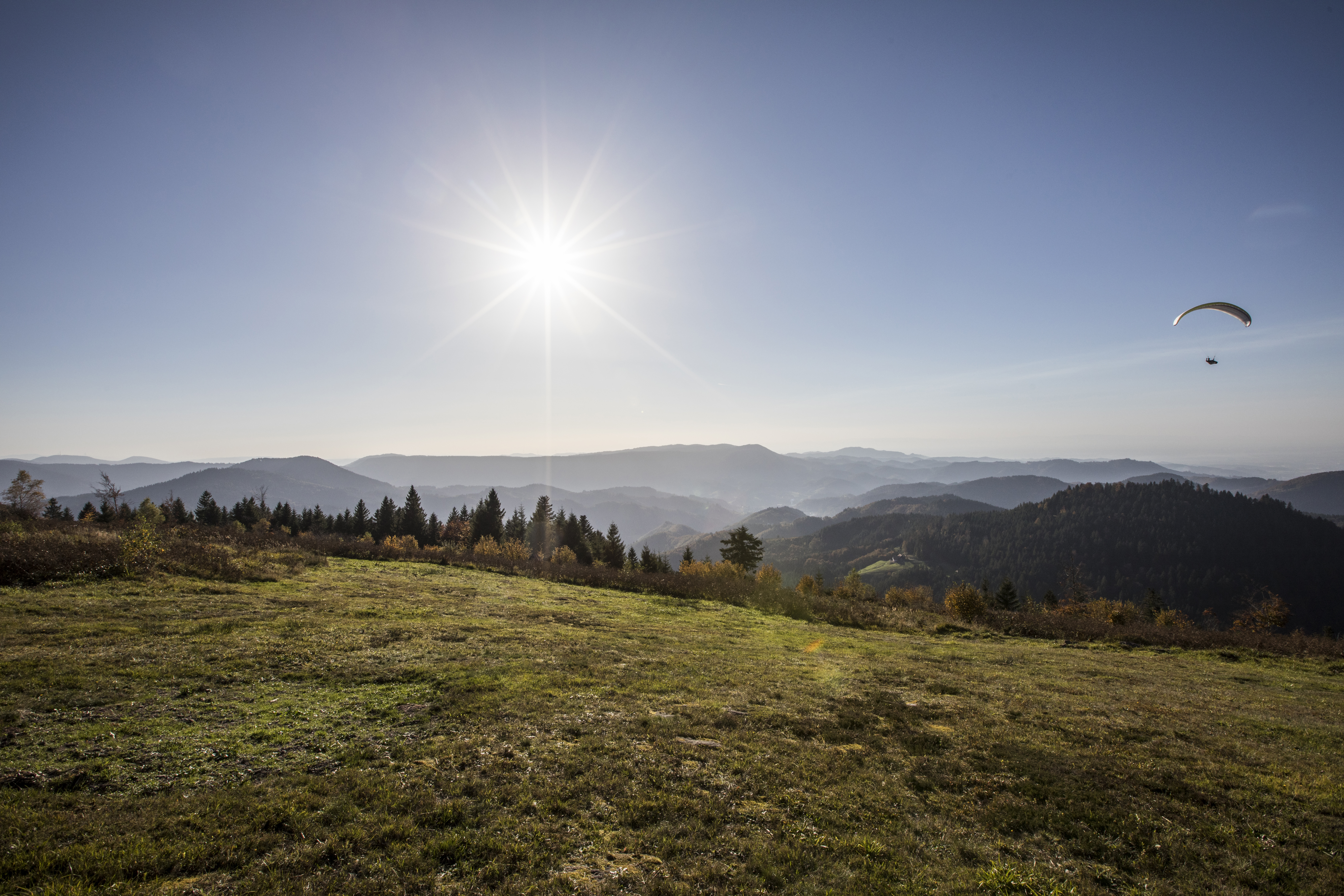 Activités en Forêt Noire