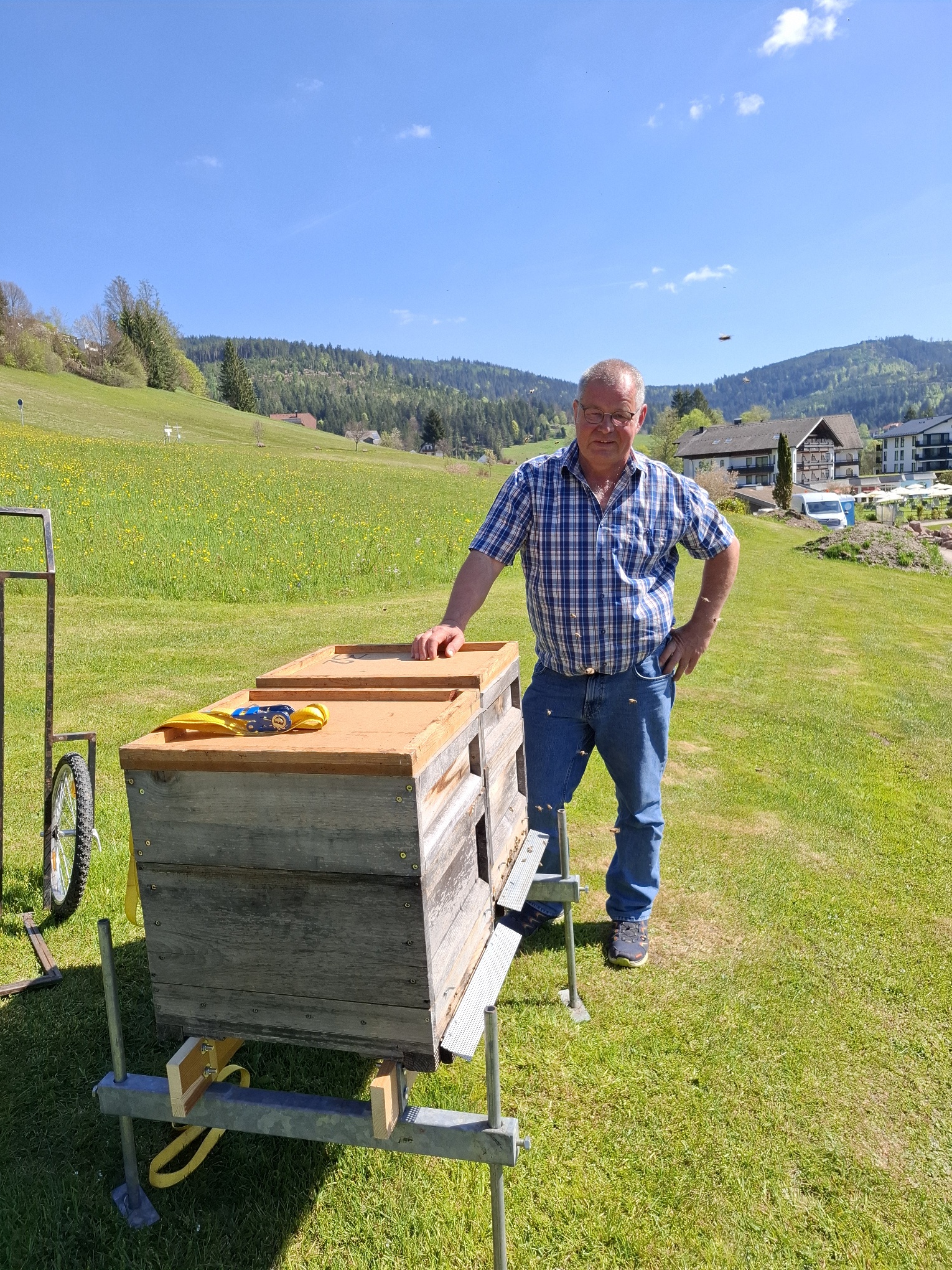 Bienen