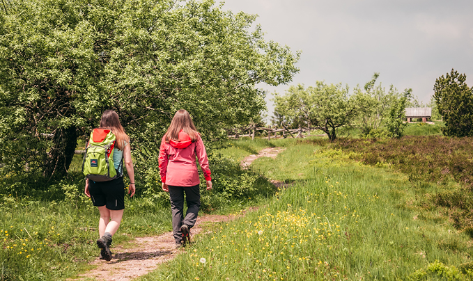 Wandern