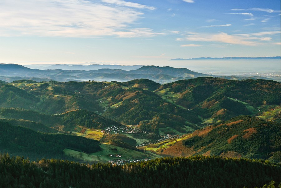 Wandern im Schwarzwald