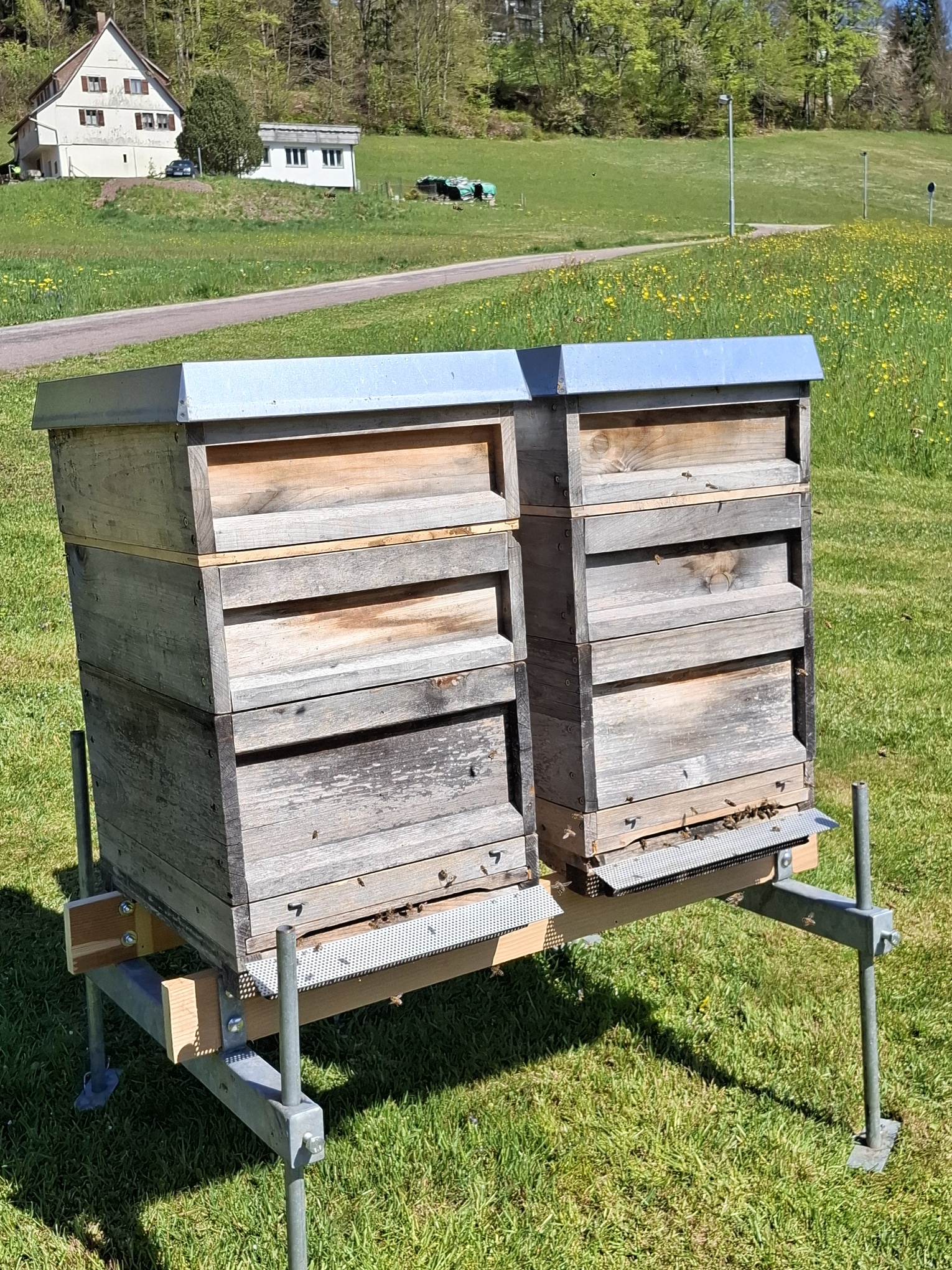Bienenstock.jpg